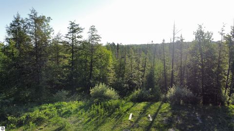 Tiny photo for 12871 Torch River Road, Rapid City, MI 49676 (MLS # 1934000)