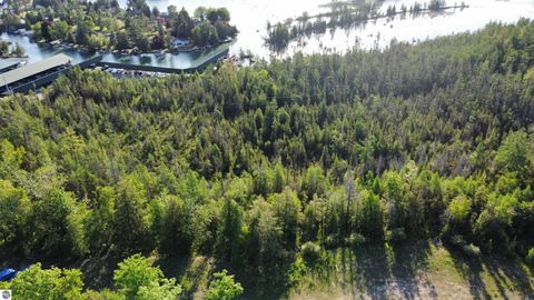 Tiny photo for 12871 Torch River Road, Rapid City, MI 49676 (MLS # 1934000)