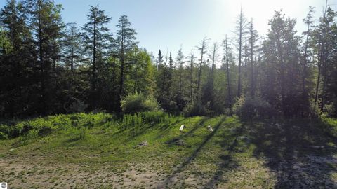 Tiny photo for 12871 Torch River Road, Rapid City, MI 49676 (MLS # 1934000)