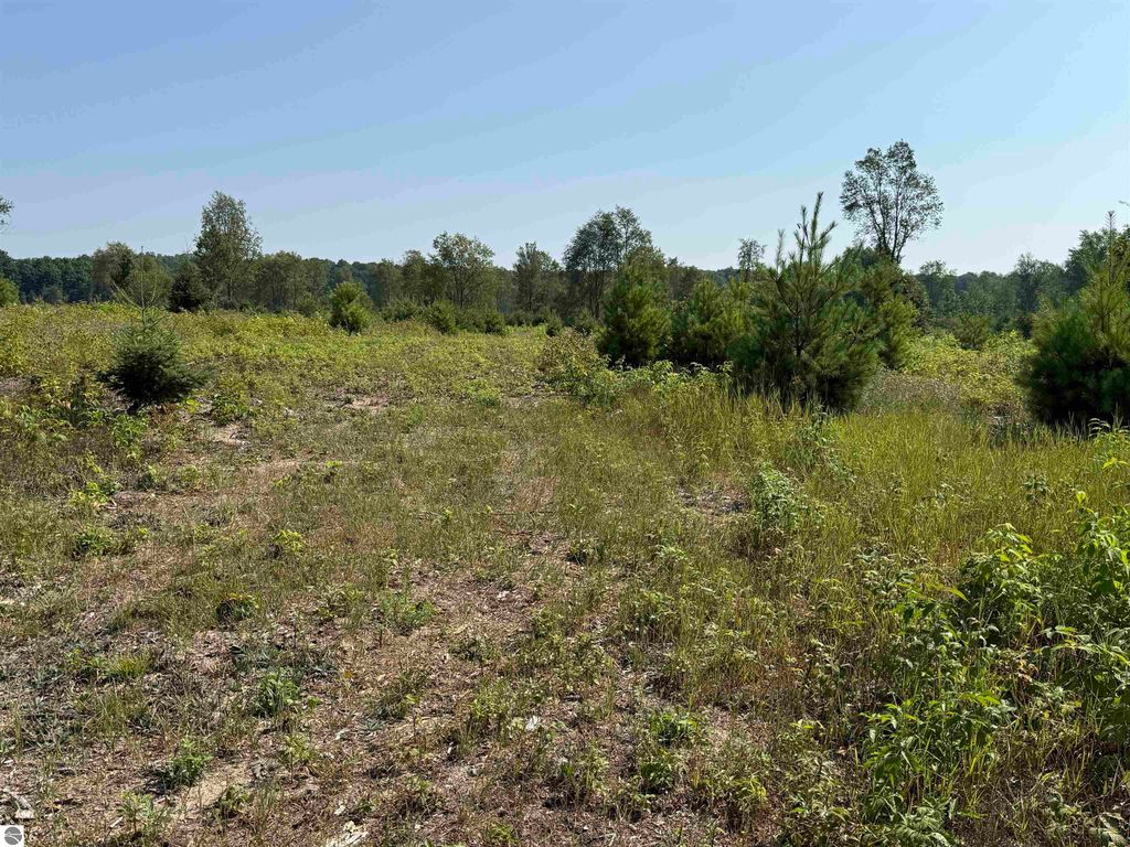 Photo of 7 S Bright Road, Maple City, MI 49664 (MLS # 1940370)