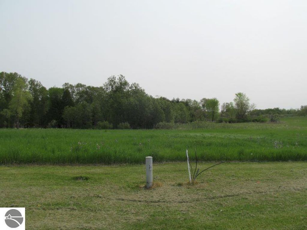 Photo of 14 Hemlock Street #14, McBain, MI 49657 (MLS # 1911784)