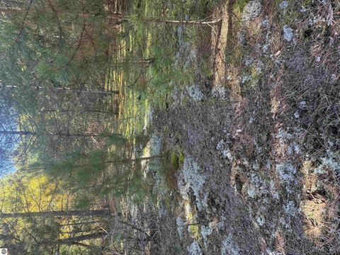 Tiny photo for 4273 N Dickerson Road, Manton, MI 49663 (MLS # 1939674)