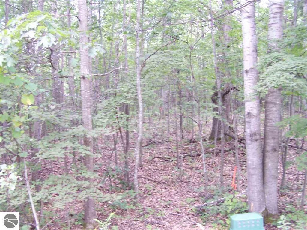Photo of N Circle E #9, Farwell, MI 48622 (MLS # 1939942)