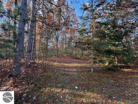 Tiny photo for 10526 County Road 502, Roscommon, MI 48653 (MLS # 1939951)