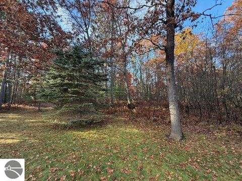 Tiny photo for 10526 County Road 502, Roscommon, MI 48653 (MLS # 1939951)
