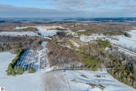 Tiny photo for 1550 S French Road, Lake Leelanau, MI 49653 (MLS # 1941264)