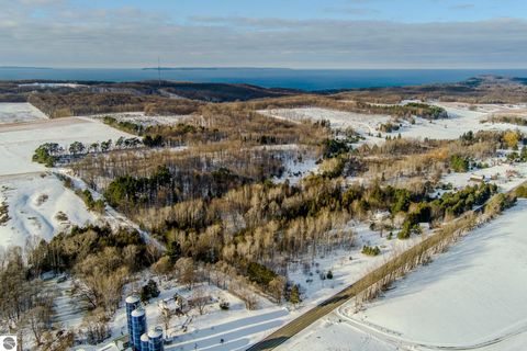 Tiny photo for 1550 S French Road, Lake Leelanau, MI 49653 (MLS # 1941264)