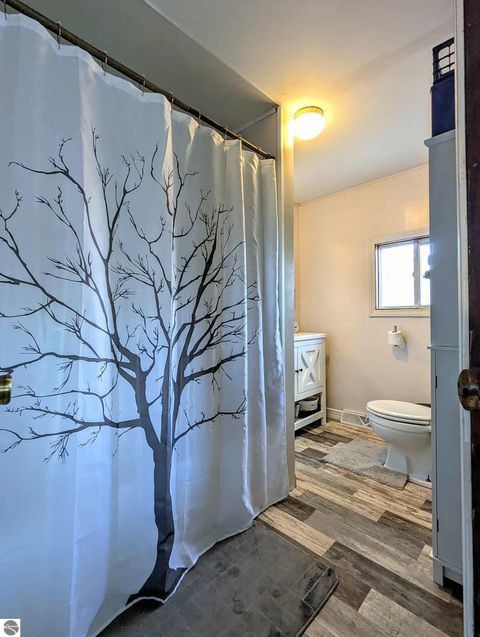 Tiny photo for 3920 E 14 Road, Manton, MI 49663 (MLS # 1940470)