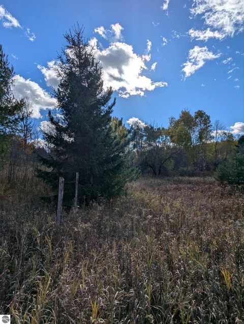 Tiny photo for 3920 E 14 Road, Manton, MI 49663 (MLS # 1940470)