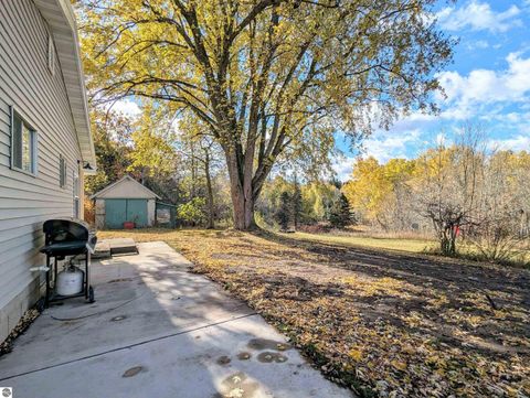 Tiny photo for 3920 E 14 Road, Manton, MI 49663 (MLS # 1940470)