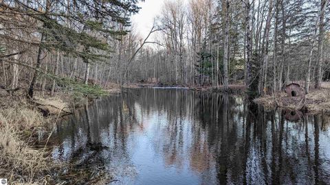 Tiny photo for 3920 E 14 Road, Manton, MI 49663 (MLS # 1940470)