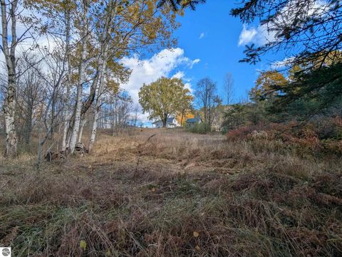 Tiny photo for 3920 E 14 Road, Manton, MI 49663 (MLS # 1940470)