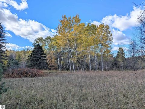 Tiny photo for 3920 E 14 Road, Manton, MI 49663 (MLS # 1940470)