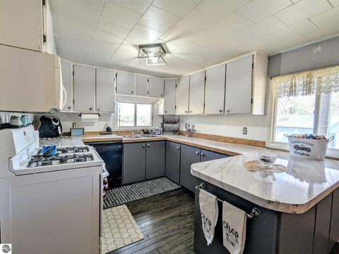 Tiny photo for 3920 E 14 Road, Manton, MI 49663 (MLS # 1940470)