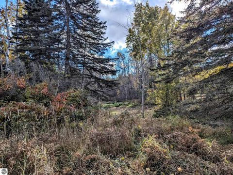 Tiny photo for 3920 E 14 Road, Manton, MI 49663 (MLS # 1940470)