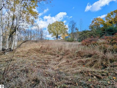 Tiny photo for 3920 E 14 Road, Manton, MI 49663 (MLS # 1940470)