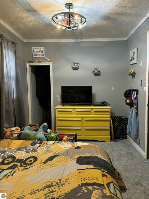 Tiny photo for 3920 E 14 Road, Manton, MI 49663 (MLS # 1940470)