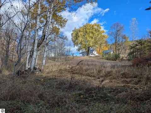 Tiny photo for 3920 E 14 Road, Manton, MI 49663 (MLS # 1940470)