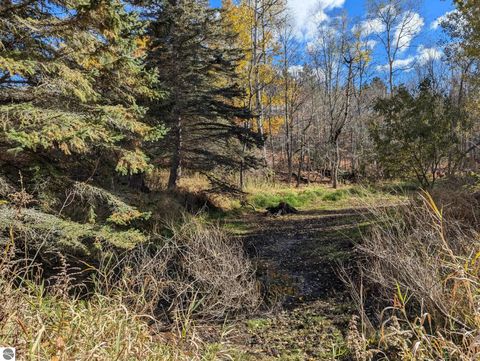 Tiny photo for 3920 E 14 Road, Manton, MI 49663 (MLS # 1940470)