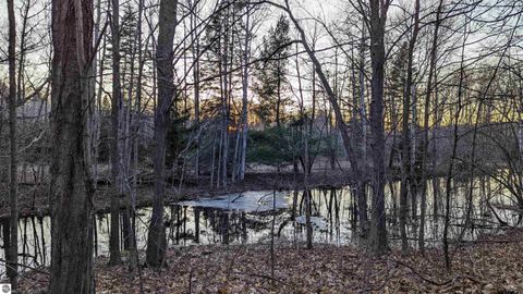 Tiny photo for 3920 E 14 Road, Manton, MI 49663 (MLS # 1940470)