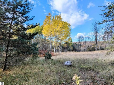 Tiny photo for 3920 E 14 Road, Manton, MI 49663 (MLS # 1940470)