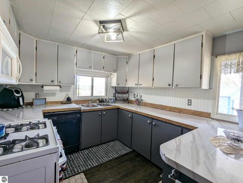 Tiny photo for 3920 E 14 Road, Manton, MI 49663 (MLS # 1940470)