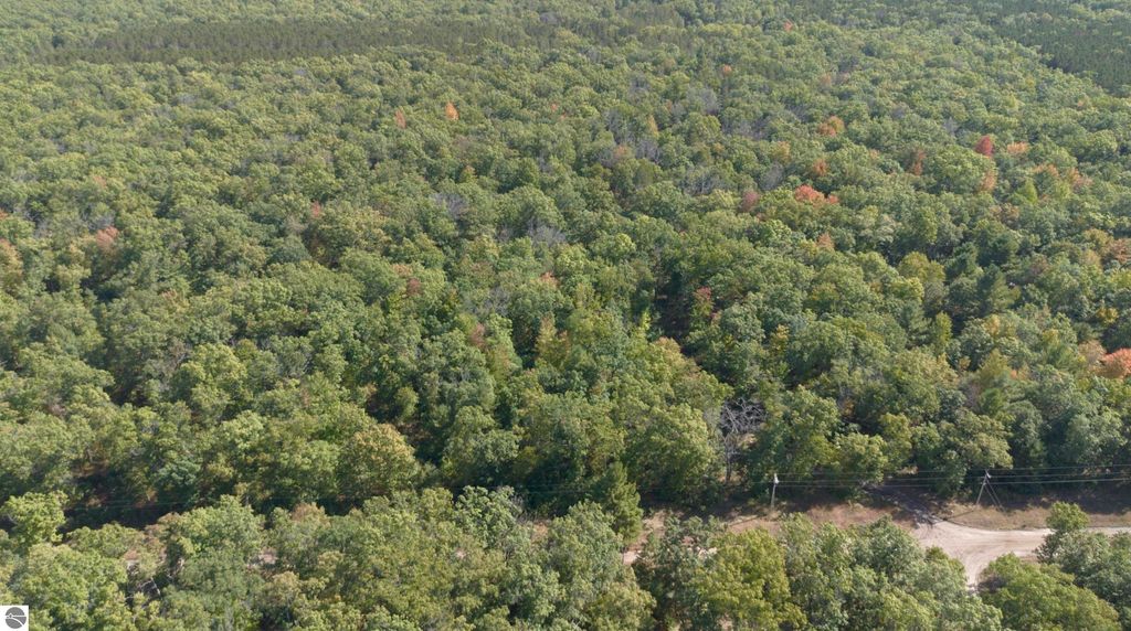 Photo of 17244 Cedar Creek Road, Wellston, MI 49689 (MLS # 1939580)