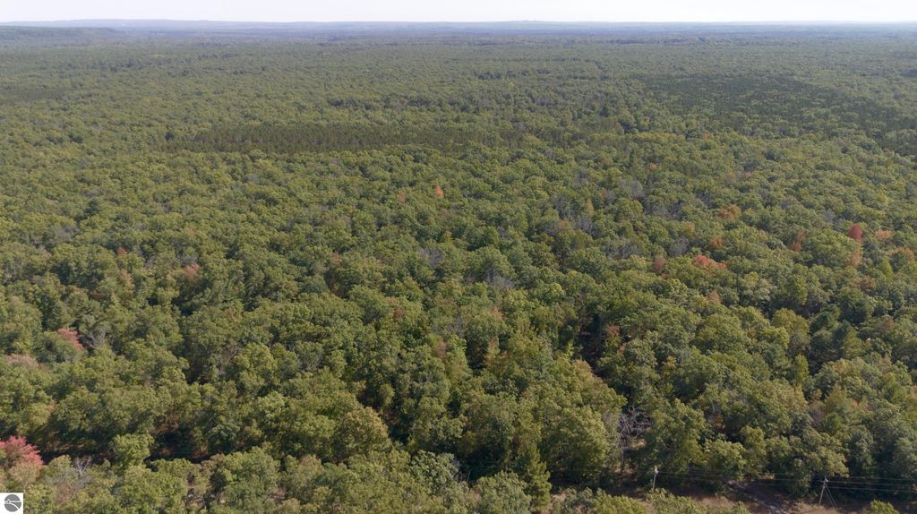 Photo of 17244 Cedar Creek Road, Wellston, MI 49689 (MLS # 1939580)
