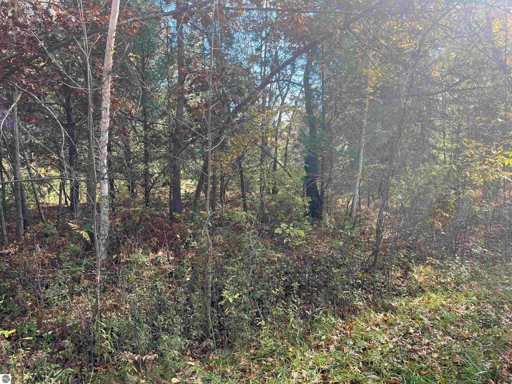 Photo of NKA Husak Road, Omer, MI 48749 (MLS # 1939895)