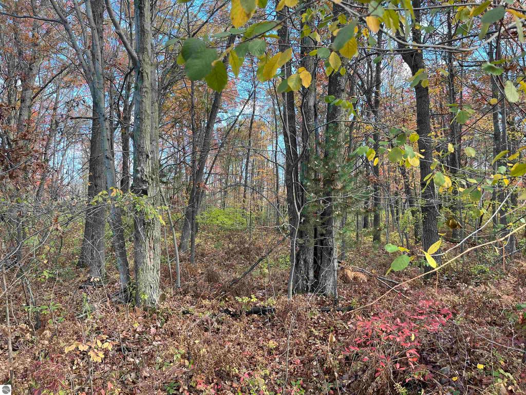 Photo of NKA Husak Road, Omer, MI 48749 (MLS # 1939895)