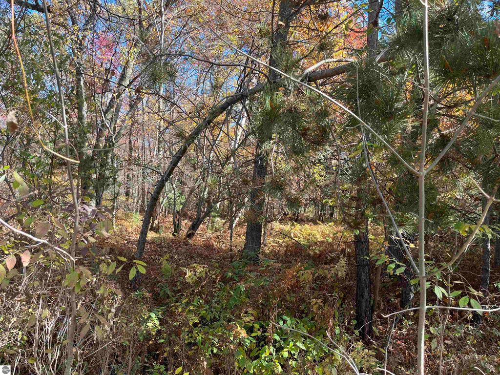 Photo of NKA Husak Road, Omer, MI 48749 (MLS # 1939895)