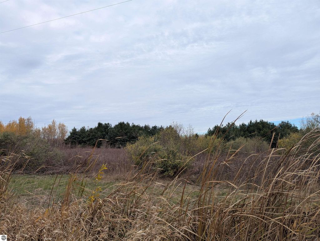 Photo of N/A Manor Road, Au Gres, MI 48703 (MLS # 1940278)