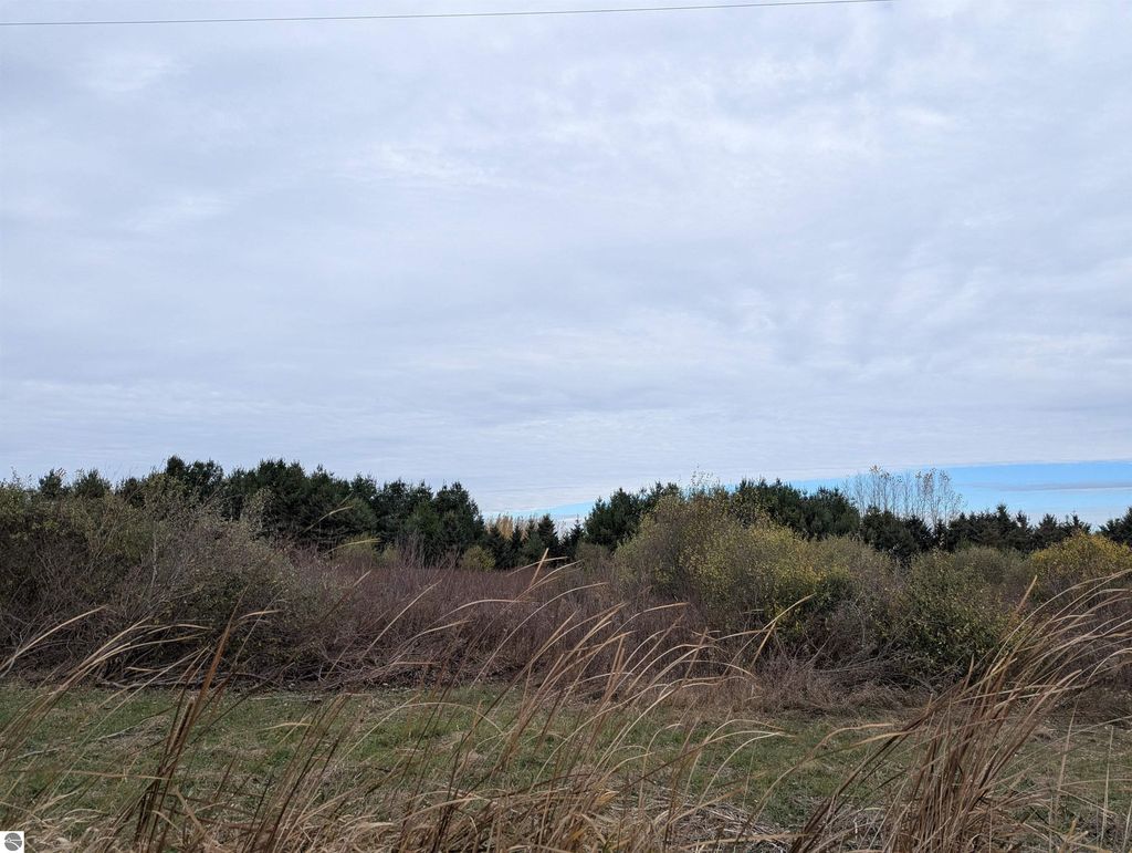 Photo of N/A Manor Road, Au Gres, MI 48703 (MLS # 1940278)