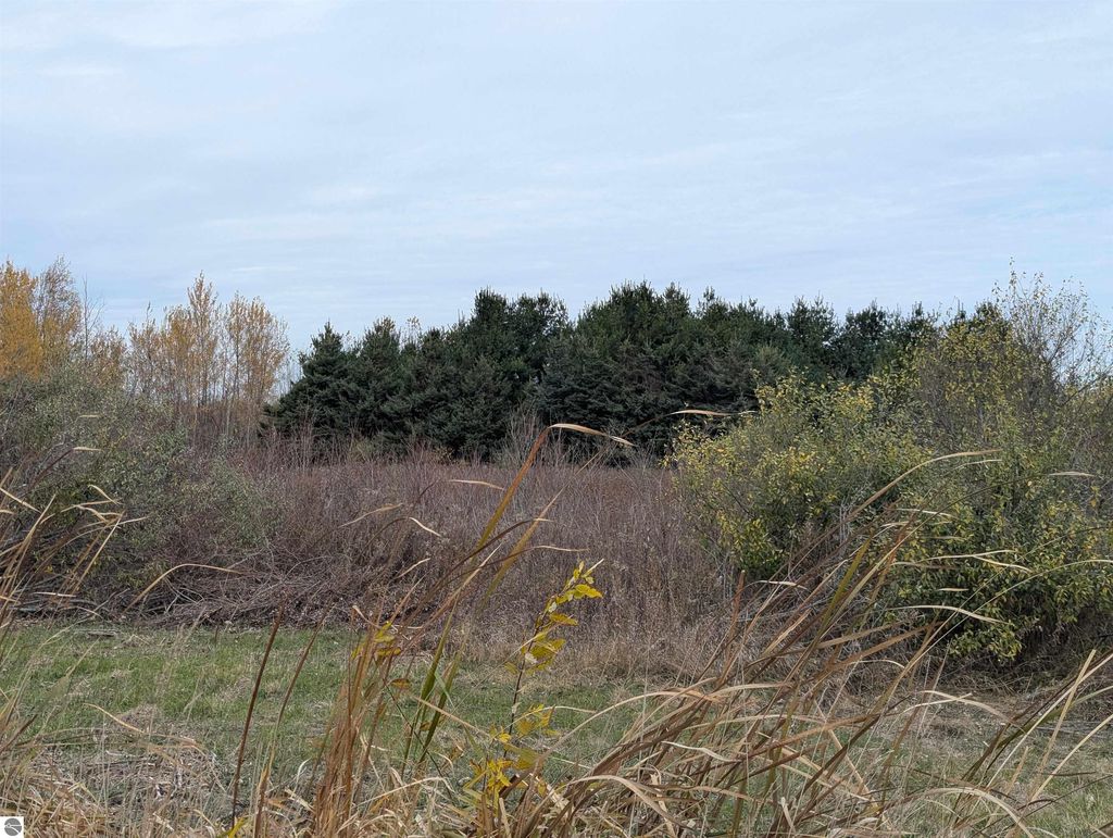 Photo of N/A Manor Road, Au Gres, MI 48703 (MLS # 1940278)