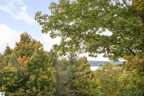 Tiny photo for 3410 W Trumbull Road, Maple City, MI 49664 (MLS # 1939977)