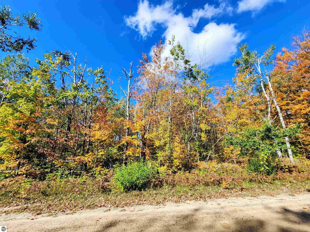 Photo of 128 Winterhaven Drive, Mancelona, MI 49659 (MLS # 1939604)