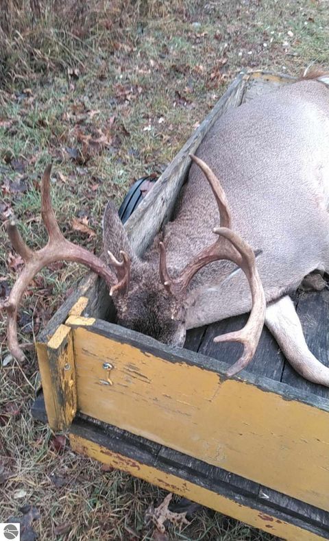 Tiny photo for 8770 N Vickeryville Road, Vestaburg, MI 48891 (MLS # 1939644)