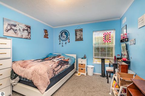 Tiny photo for 8770 N Vickeryville Road, Vestaburg, MI 48891 (MLS # 1939644)