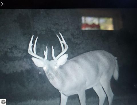 Tiny photo for 8770 N Vickeryville Road, Vestaburg, MI 48891 (MLS # 1939644)