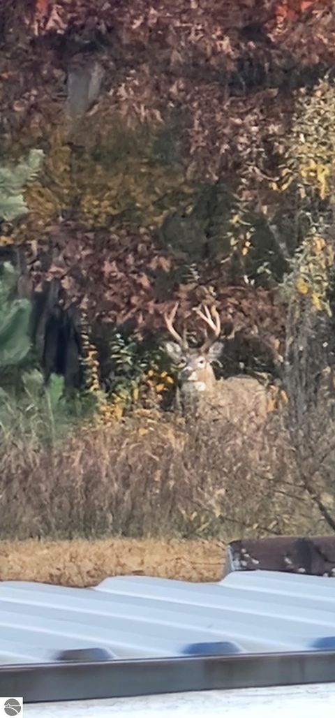 Tiny photo for 8770 N Vickeryville Road, Vestaburg, MI 48891 (MLS # 1939644)