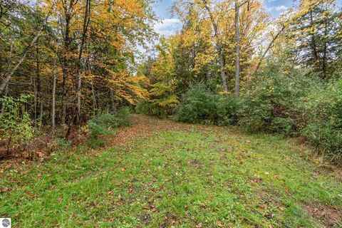 Tiny photo for 8770 N Vickeryville Road, Vestaburg, MI 48891 (MLS # 1939644)