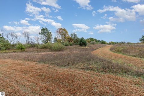 Tiny photo for 8770 N Vickeryville Road, Vestaburg, MI 48891 (MLS # 1939644)