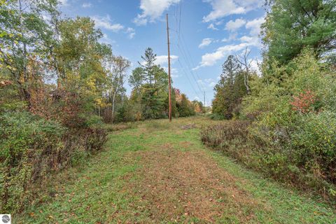 Tiny photo for 8770 N Vickeryville Road, Vestaburg, MI 48891 (MLS # 1939644)