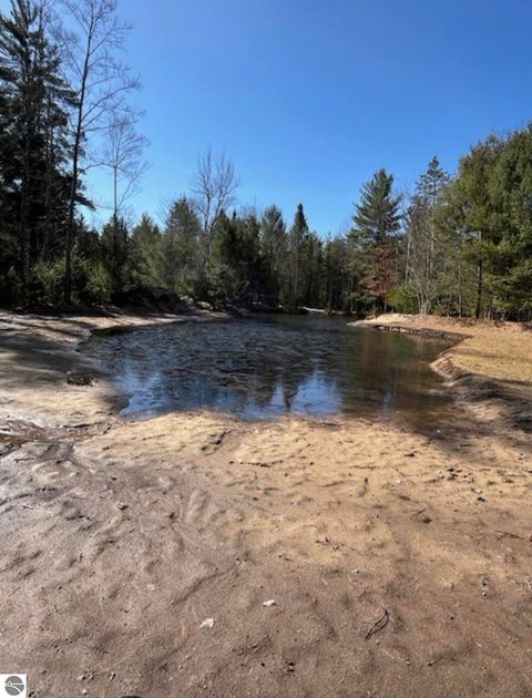 Tiny photo for 8264 SE Military Road, Fife Lake, MI 49633 (MLS # 1938029)