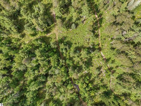 Tiny photo for 8264 SE Military Road, Fife Lake, MI 49633 (MLS # 1938029)