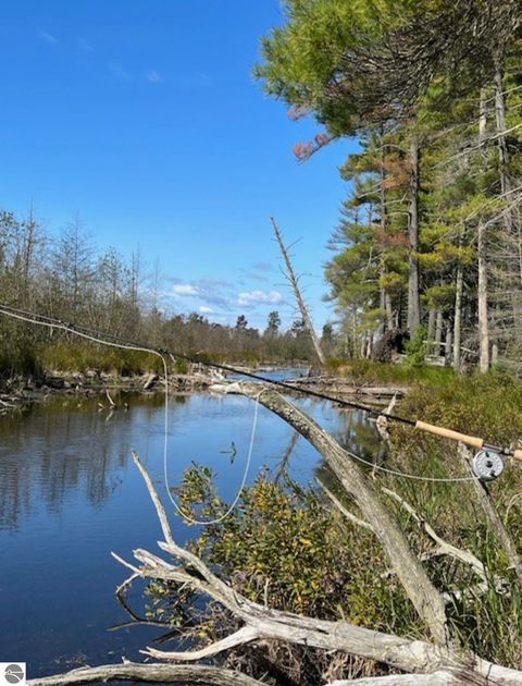 Tiny photo for 8264 SE Military Road, Fife Lake, MI 49633 (MLS # 1938029)