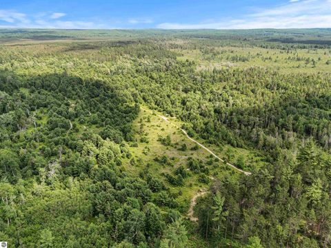 Tiny photo for 8264 SE Military Road, Fife Lake, MI 49633 (MLS # 1938029)