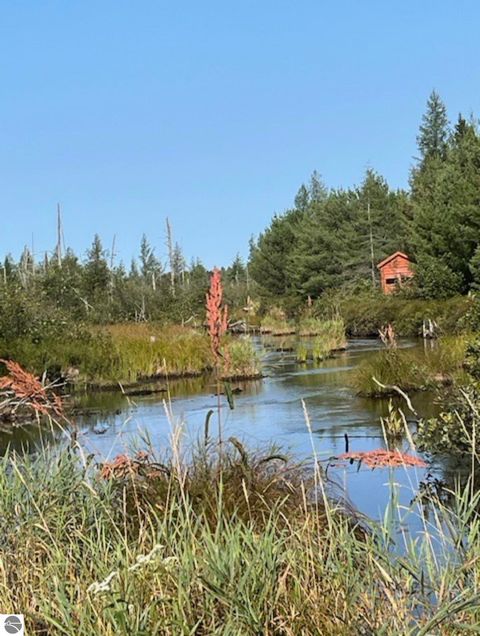 Tiny photo for 8264 SE Military Road, Fife Lake, MI 49633 (MLS # 1938029)