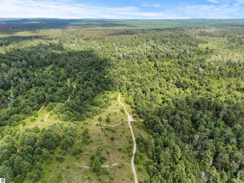 Tiny photo for 8264 SE Military Road, Fife Lake, MI 49633 (MLS # 1938029)