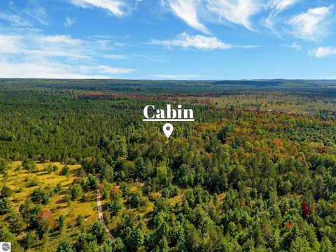 Tiny photo for 8264 SE Military Road, Fife Lake, MI 49633 (MLS # 1938029)